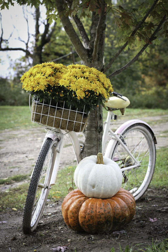 fall bike basket planter mums pumpkins, crafts, gardening, seasonal holiday decor