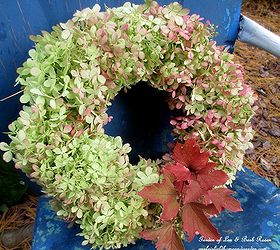 diy free fall wreath using hydrangeas, crafts, flowers, seasonal holiday decor, wreaths, Use Limelight Hydrangeas in a Fall wreath