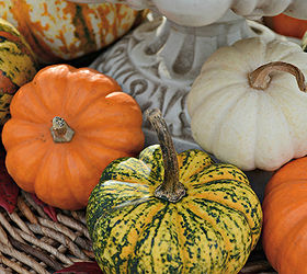 fall tablescape outdoors pumpkins white dishes, home decor, seasonal holiday decor