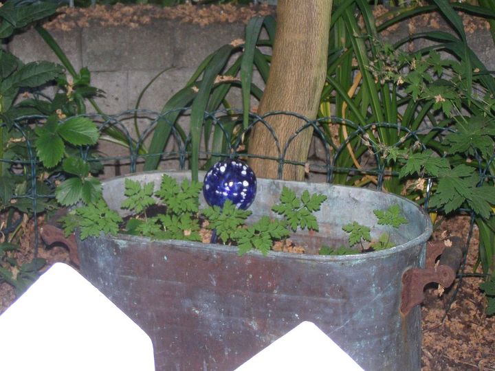 recipientes de jardim reutilizados