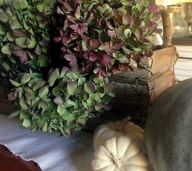 hydrangea drying tips, gardening, home decor, hydrangea