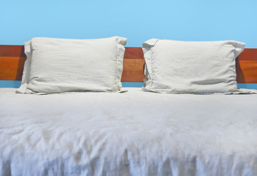 keep bed bugs out of your home, home decor, pest control
