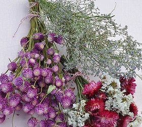 how to drying flowers tips, crafts, flowers
