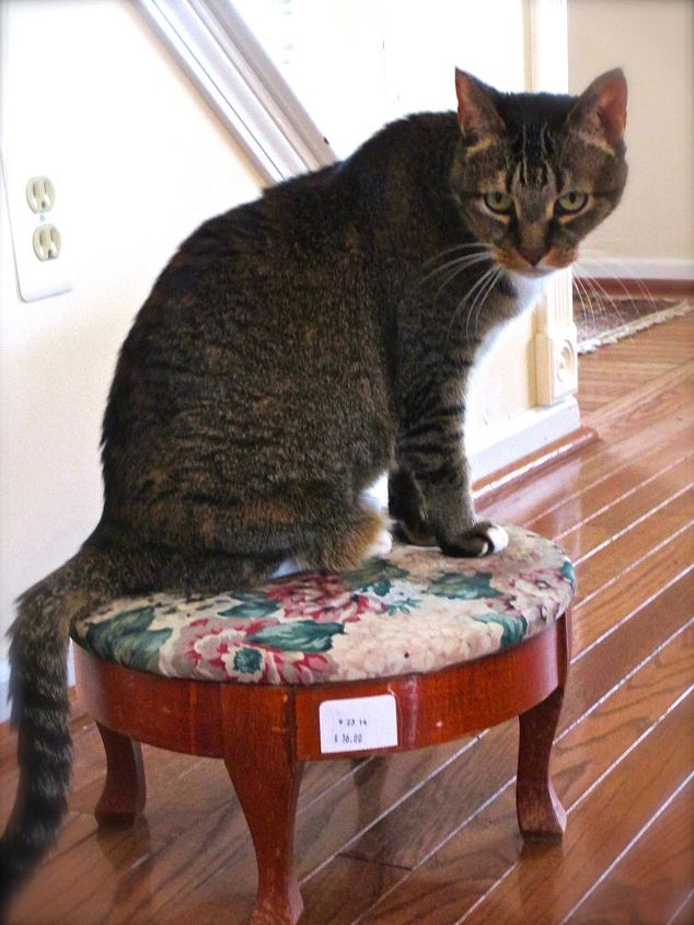 painted furniture footstool kitty portrait, painted furniture, pets animals, repurposing upcycling