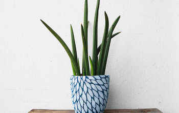 A Flower Pot With Sweater