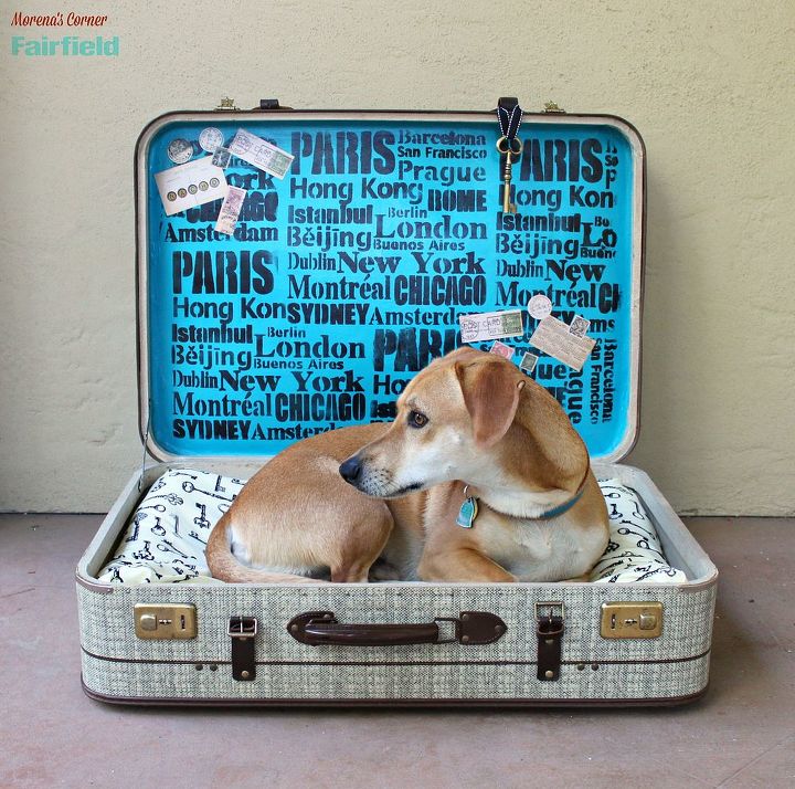 repurpose suitcase pet bed, pets animals, repurposing upcycling, reupholster