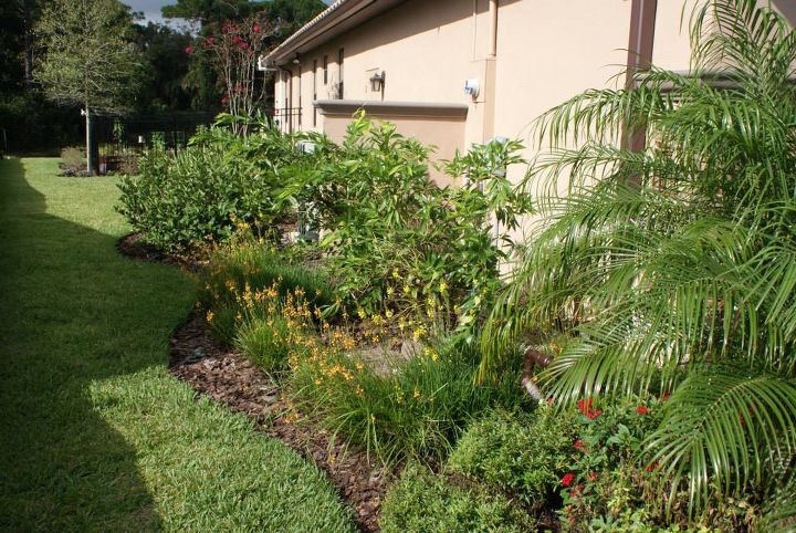 gardening florida home yards tropical, gardening, landscape