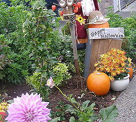fall decor autumn white rock yards, gardening, landscape, seasonal holiday decor