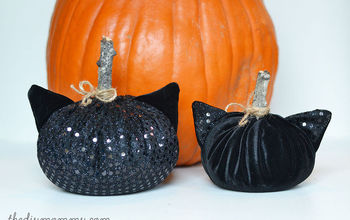 Black Cat Velvet Pumpkins