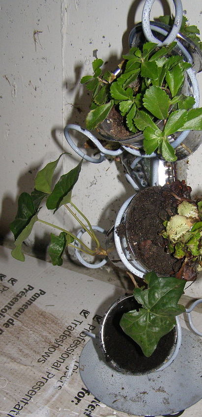 wine holder repurposed garden planter, gardening