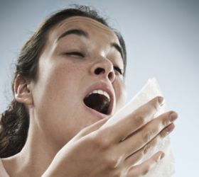 how to beat fall allergies, cleaning tips