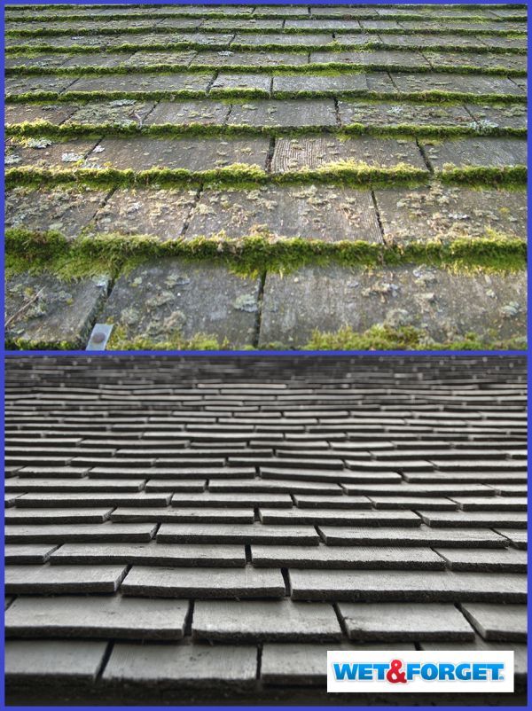 roofing maitenance protect home autumn checklist, home maintenance repairs, roofing