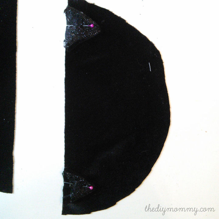 calabazas de terciopelo de gato negro
