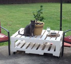 diy pallet patio table build, diy, how to, painted furniture, pallet, repurposing upcycling, My cat Oscar