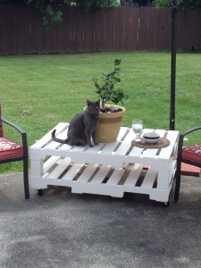 diy pallet patio table build, diy, how to, painted furniture, pallet, repurposing upcycling, My cat Oscar