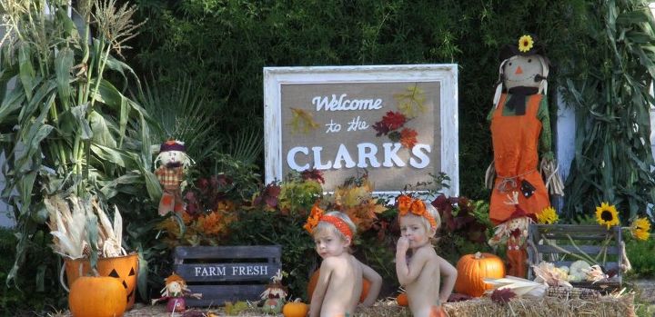 fall decor garden outsdoor home, halloween decorations, seasonal holiday decor, Olive and Charlie cutie pumpkins