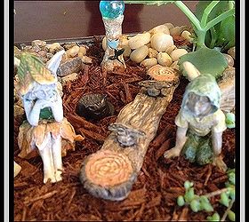 indoor fairy garden, crafts, gardening