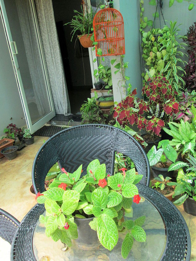 garden terrace fall flowers, container gardening, flowers, gardening