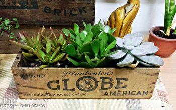 Vintage Cheese Box Succulent Planters ~
