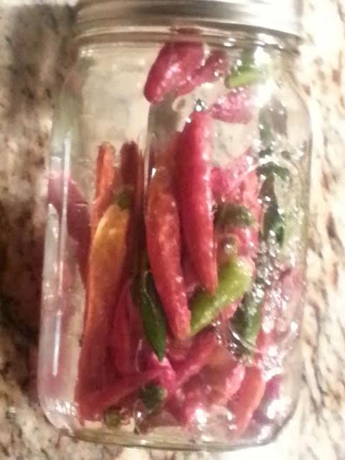 using peppers as decor, homesteading