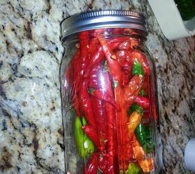 using peppers as decor, homesteading