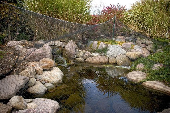 backyard koi pond tricks and tips, landscape, ponds water features