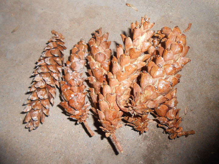 diy pine cone wreath using chicken wire