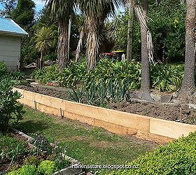 new vegetable edging and black iris in bloom, concrete masonry, diy, gardening, The front view two high