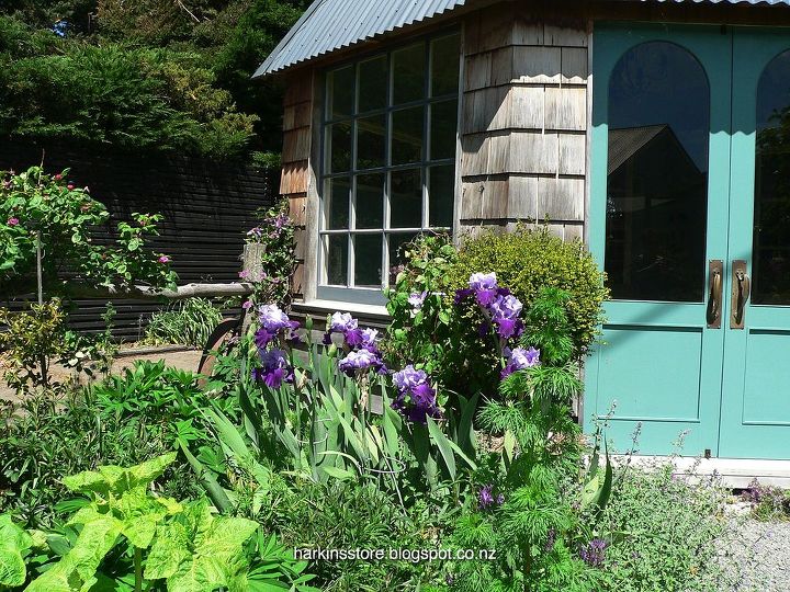 the iris garden inspiration, flowers, gardening, landscape