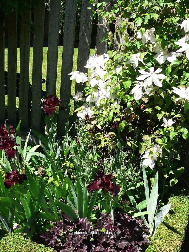 the iris garden inspiration, flowers, gardening, landscape, The black and white garden