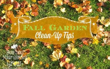  10 dicas para limpar o jardim no outono