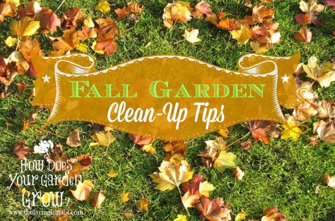 10 consejos para la limpieza del jardin en otono