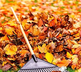 10 fall garden clean up tips, flowers, gardening, lawn care