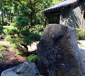 west linn oregon japanese inspired garden ideas, gardening, landscape, outdoor living, patio, ponds water features