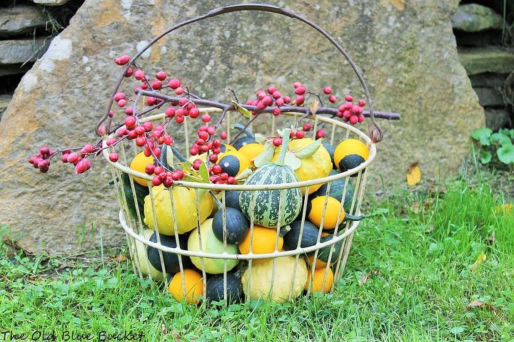adding a little fall decoration to the garden, gardening