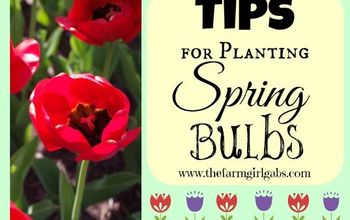 Consejos para plantar bulbos de primavera