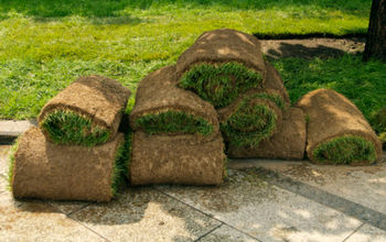Choosing the Right Turf for You