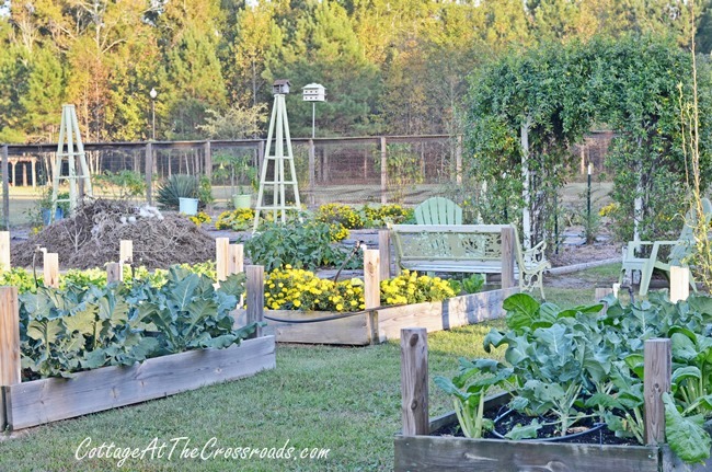 fall vegetable garden ideas, gardening, raised garden beds