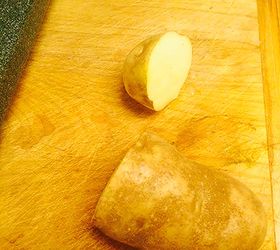Large white potato in half