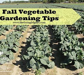fall gardening tips what to plant when to plant it, gardening