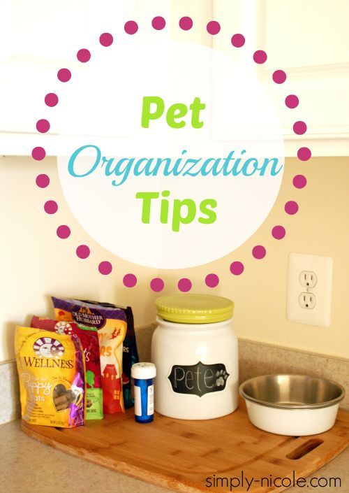 pet organization tips, organizing, pets animals