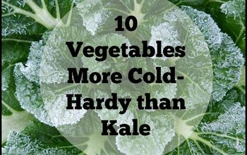 10 Vegetables More Cold Hardy Than Kale