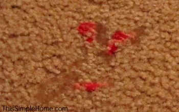 How to Remove Blood Stains From Furniture, Carpeting, and Clothing