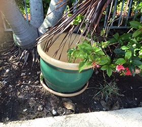 pots too large for plants collecting rainwater, too large to fill with soil too heavy to move they re a burden and a waste