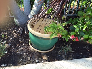pots too large for plants collecting rainwater, too large to fill with soil too heavy to move they re a burden and a waste
