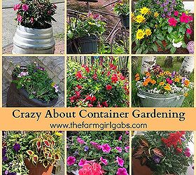 container gardening tips, container gardening, flowers, gardening