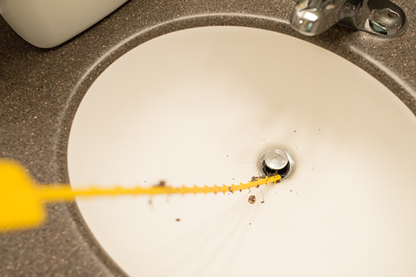 How To Unclog A Sink Or Tub Hometalk