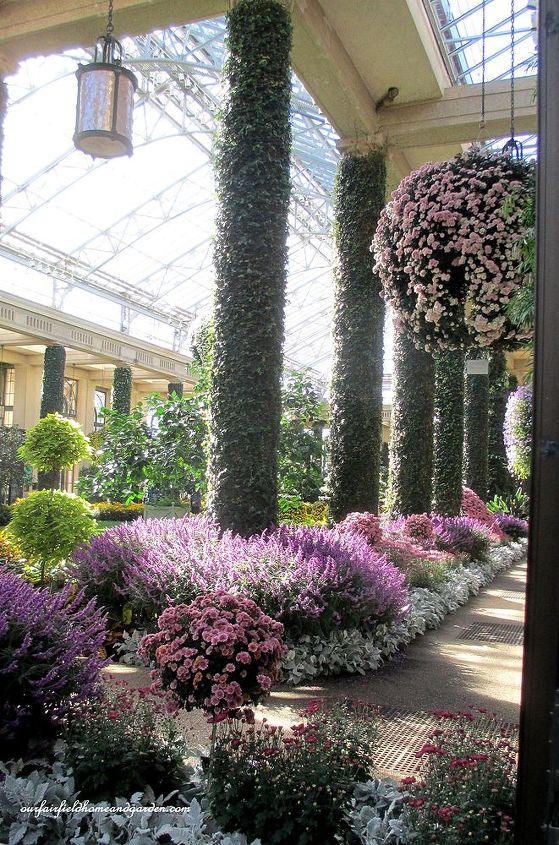 Chrysanthemum Festival At Longwood Gardens Hometalk Conservatory Path