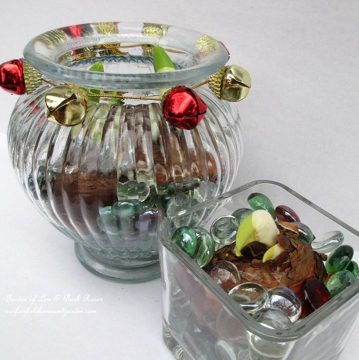 flowering holiday bulbs for gifts, christmas decorations, crafts, home decor, seasonal holiday decor, Dollar Store recycled glassware with bulbs