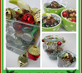 flowering holiday bulbs for gifts, christmas decorations, crafts, home decor, seasonal holiday decor